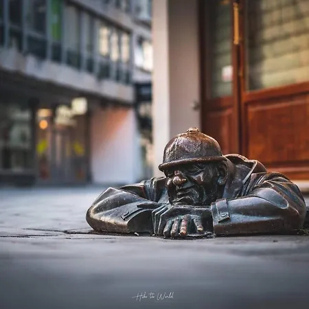 Daire Majestic Views From A 60m2 Private Terrace - Castle, Cathedral, Old Town Bratislava